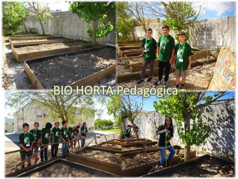 Horta Bio Pedagógica